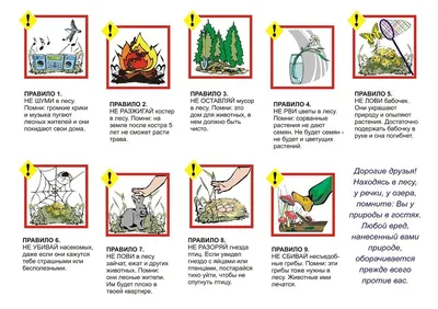 Уличный стенд \"Правила поведения в природе\"