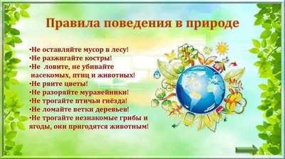 Правила безопасного поведения на водных объектах, вблизи водоемов, в лесных  массивах | ВКонтакте