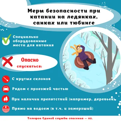 Правила поведения в лесу :: Администрация поселка Кедровый Красноярского  края
