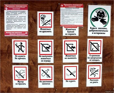 Правила поведения в барнаульском зоопарке | Барнаульский зоопарк «Лесная  сказка»