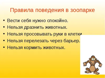 Сегодня хотим напомнить вам правила поведения в нашем зоопарке: ❌ В нашем  зоопарке СТРОГО ЗАПРЕЩЕНО кормить.. | ВКонтакте