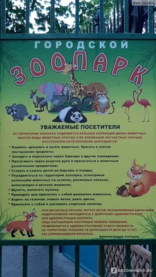 В зоопарк под Донецком волгоградские коллеги отвезли корм и детские рисунки  | ОБЩЕСТВО: Экология | ОБЩЕСТВО | АиФ Волгоград