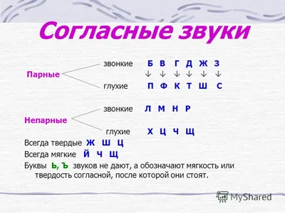 Все правила русского языка. 1-4 класс – Karusel