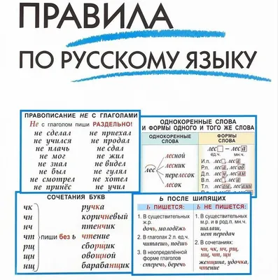 Правила русского языка для учеников 2 класса в картинках | Уроки письма,  Школьники, Язык