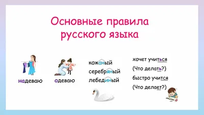Основные правила русского языка - YouTube