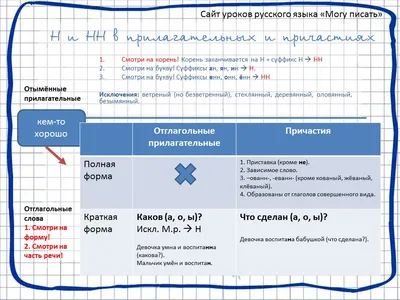 Все правила русского языка в тренировочных упражнениях. Орфография и  пунктуация. 8-9 классы - Стронская И.М. | Купить с доставкой в книжном  интернет-магазине fkniga.ru | ISBN: 978-5-407-01081-4