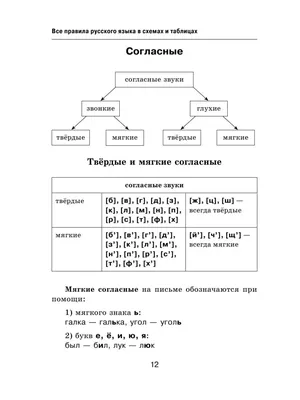Calaméo - Правила русского языка в картинках
