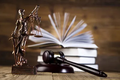 Процессуальное право - принципы, понятия источники и нормы права - Статьи  информационного юридического портала Сфера