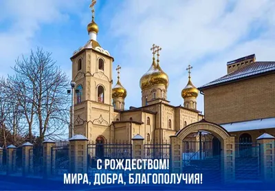 Православная Церковь Украины: экуменическое принятие - Public Orthodoxy  (Публичное Православие)