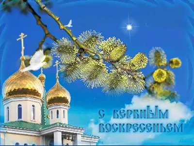 Православные святыни города Вильны купить - Свет Фавора