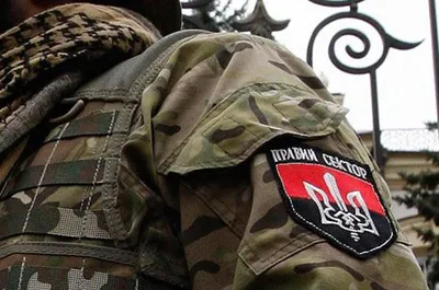 Правый сектор вошел в состав Вооруженных сил Украины - Днепр Оперативный