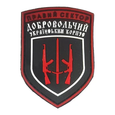 Почему Коломойский закрыл \"Правый сектор\" — DSnews.ua