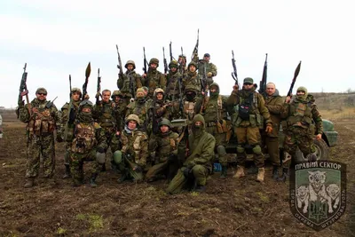 В ДНР допустили использование Киевом «Правого сектора»* как группы зачистки