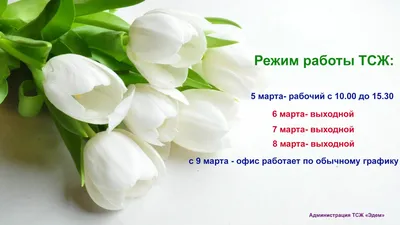 8 Марта 2022 Международный женский день в Хабаровске: чем заняться в  праздничные дни - KP.RU