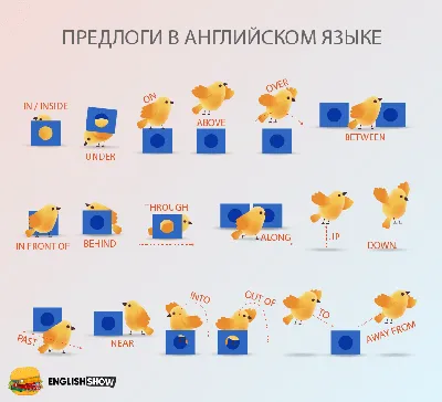 Упражнения на отработку лексики по теме \"Предлоги места\" | Английский И  Немецкий Язык Для Начинающих