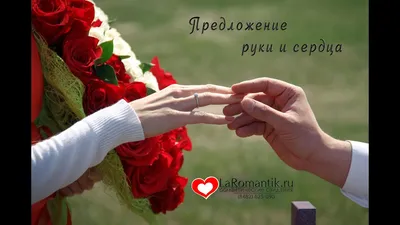 Сделал предложение руки и сердца во время вручения диплома - новости  Владимирской области