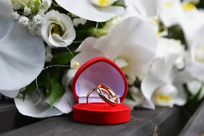 Получила предложение выйти замуж, но будущий муж сказал, что половину  стоимости кольца должна оплатить я | Кейт Писательница | Дзен