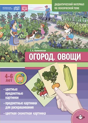 Картотека предметных картинок. Выпуск 43. Предметные картинки для работы с  детьми раннего дошкольного возраста (Детство-Пресс) | Демонстрационный  материал. Окружающий мир. Купить в Санкт-Петербурге