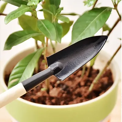 Мини инструменты для ухода за домашними растениями – лучшие товары в  онлайн-магазине Джум Гик