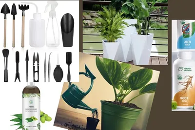Практическая работа: «Учимся ухаживать за комнатными растениями» -  презентация онлайн