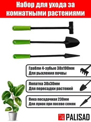 Садовый инструмент Набор для пикировки рассады и ухода за комнатными  растениями купить в Украине | Веснодар
