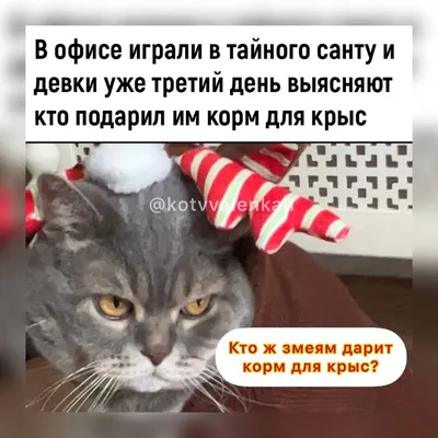 Суровый мужской предновогодний холодильник. / Новый Год :: суровость ::  холодильник :: о наболевшем / смешные картинки и другие приколы: комиксы,  гиф анимация, видео, лучший интеллектуальный юмор.