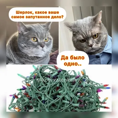 Мемы предновогодние..🎄Или немножко нарушаем🙀 | Кот в валенках Марсель |  Дзен