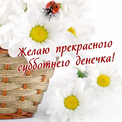 🌹☕⛄Прекрасного Субботнего дня и Отличных выходных! 🌲🎉🥞👍💥10.12.2022💖  | Выходные, Открытки