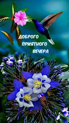 Добрый вечер. Цветы и пожелание приятного вечера. Цветы, бабочка, сердечки.  Приятного Вам вечера.