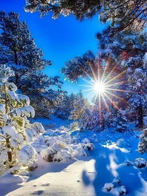Красивые картинки \"Добрый зимний день\"