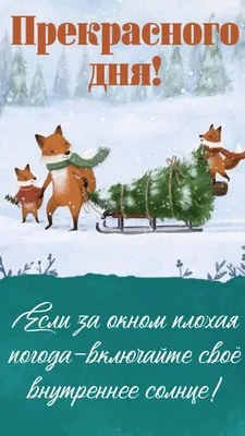 Хорошего зимнего дня - новые красивые открытки (53 ФОТО) | Счастливые  картинки, Открытки, Смешные детские картинки