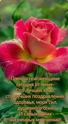 Стихотворение «Пожелания коллеге, прекрасной женщине», поэт Носков Игорь