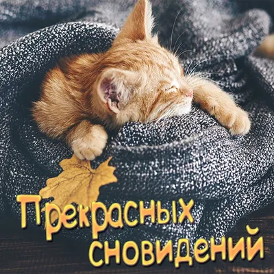 Чудесных сновидений! | Красивые открытки и поздравления с праздниками |  ВКонтакте
