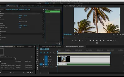 Монтаж видео любой сложности Premiere Pro, After Effects за 500 руб.,  исполнитель Азиз (Distemper) – Kwork