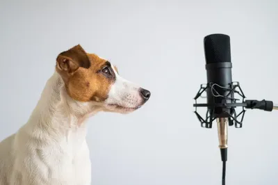 Vocal Image: тренировки голоса и речи, дикции и артикуляции - YouTube