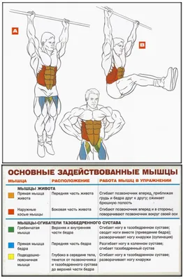 Как накачать пресс в домашних условиях: как быстро накачать пресс кубиками,  эффективные упражнения дома