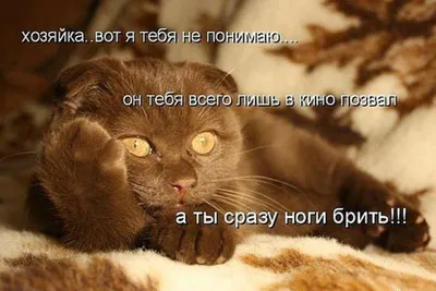 Котоматрица: Прощай.....Любимая....Ты жди меня не скоро я приеду.... Я  буду.... ждать... и