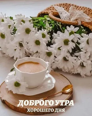 Доброе утро | Imágenes de café, Mañanas de café, Flores y cafe
