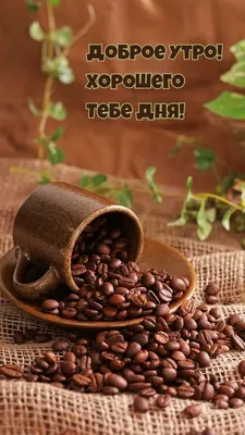 Рецепт кофе с нотками меда и ванильной соли : Delonghi RU