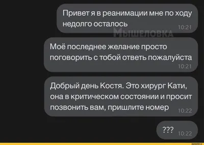 Здравствуйте 15:16 ¡5 16 Добрый день Отдадите за 12000 ¡6 Возьмёте за  20000? НеТ 15:16 1516 Ия / переписка :: Торг :: авито / смешные картинки и  другие приколы: комиксы, гиф анимация, видео, лучший интеллектуальный юмор.