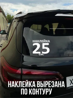 Наклейка на авто Прикольные надписи садись пристегнись заткнись держись ВАЗ  автомобиль машина - купить по выгодным ценам в интернет-магазине OZON  (712841097)
