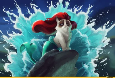 Ariel (Дисней) :: Grumpy Cat :: красивые картинки :: Прикольные картинки ::  art (арт) / картинки, гифки, прикольные комиксы, интересные статьи по теме.