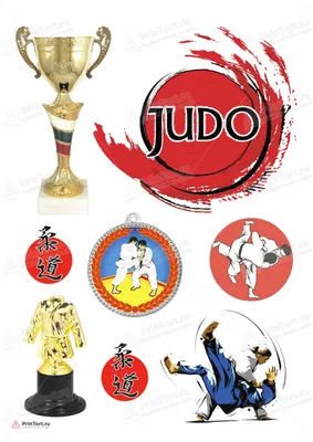 Воспитывают чемпионов: 28 октября Всемирный день дзюдо