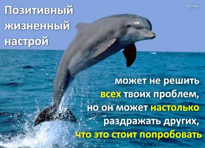 Интересные высказывания. | Facebook