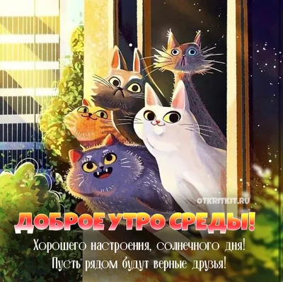 Красивые картинки Good Morning (37 картинок) | Memax