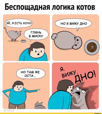 Не)смешные комиксы о жизни в Бишкеке с загрязненным воздухом