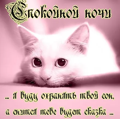 Открытки o...