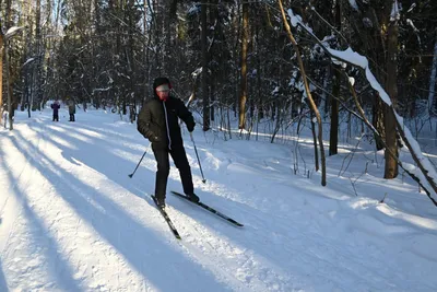 Интересные факты про лыжи | MesherSKIService - Лыжный прокат и сервис | Дзен