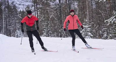 Весёлые еноты на лыжах несутся с…» — создано в Шедевруме
