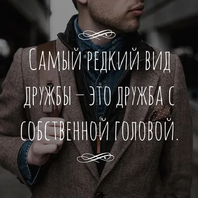 авы для приложения,,WhatsApp''🦋🐇☁️❤ | TikTok